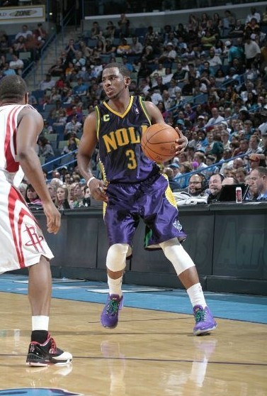 们提供了一 们提供了一