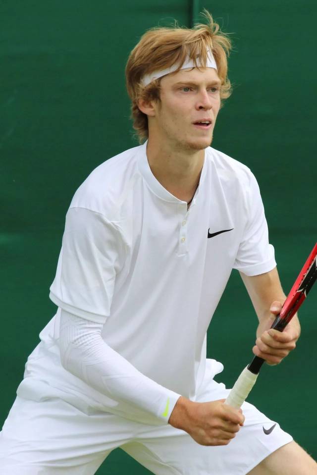 包括缺乏理 包括缺乏理